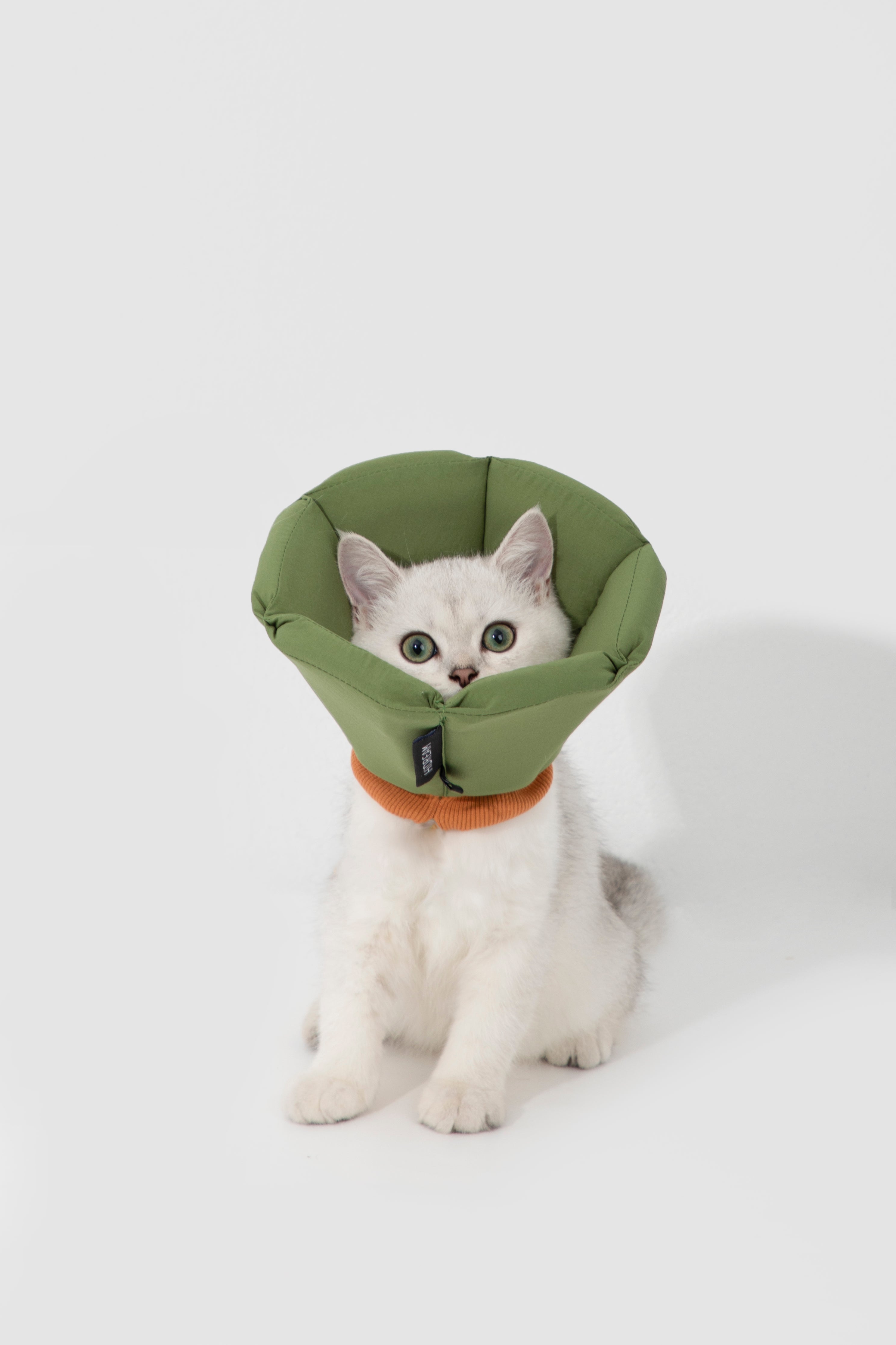 Pet Care
