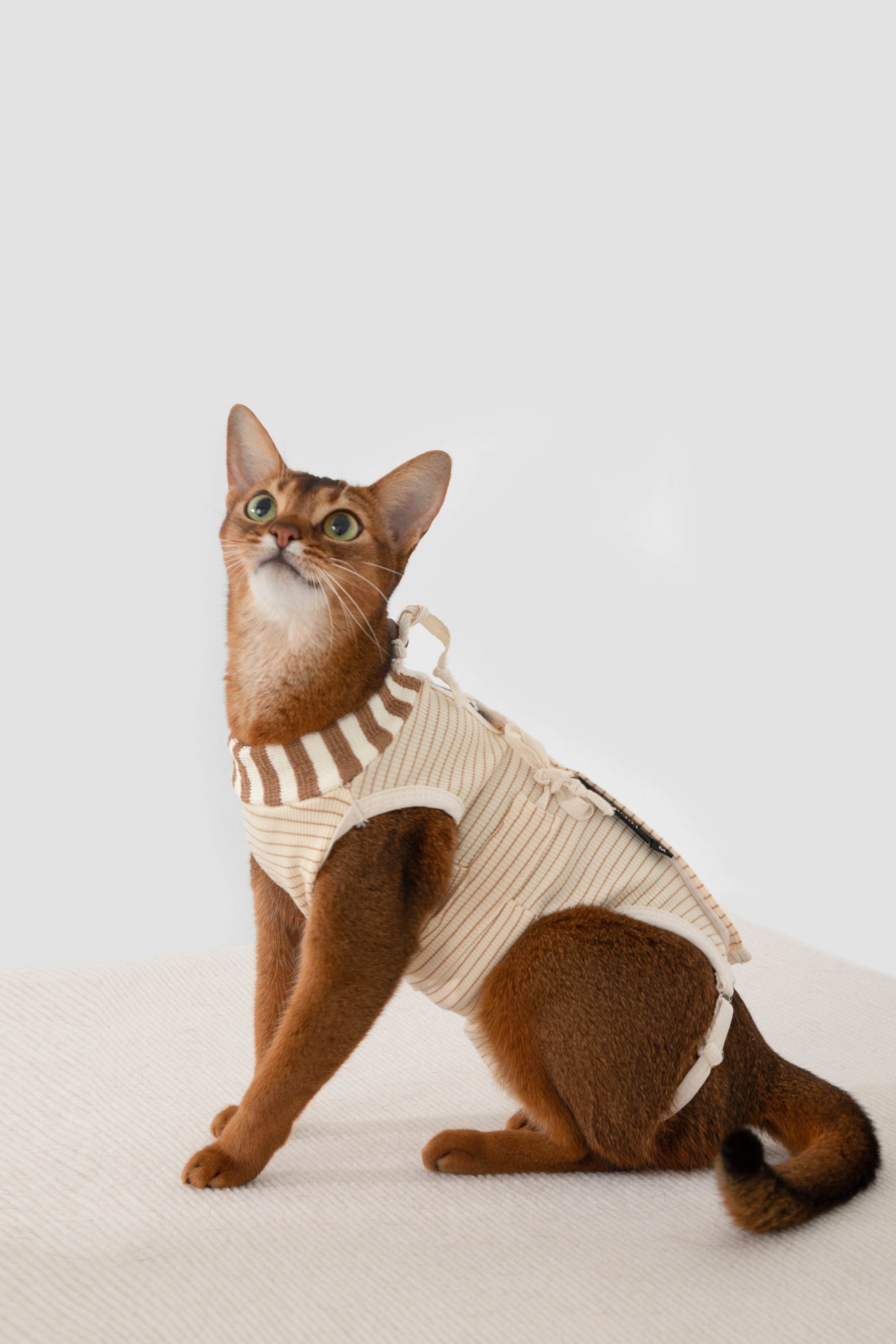 HiDream Cat Surgery Recovery Suit
