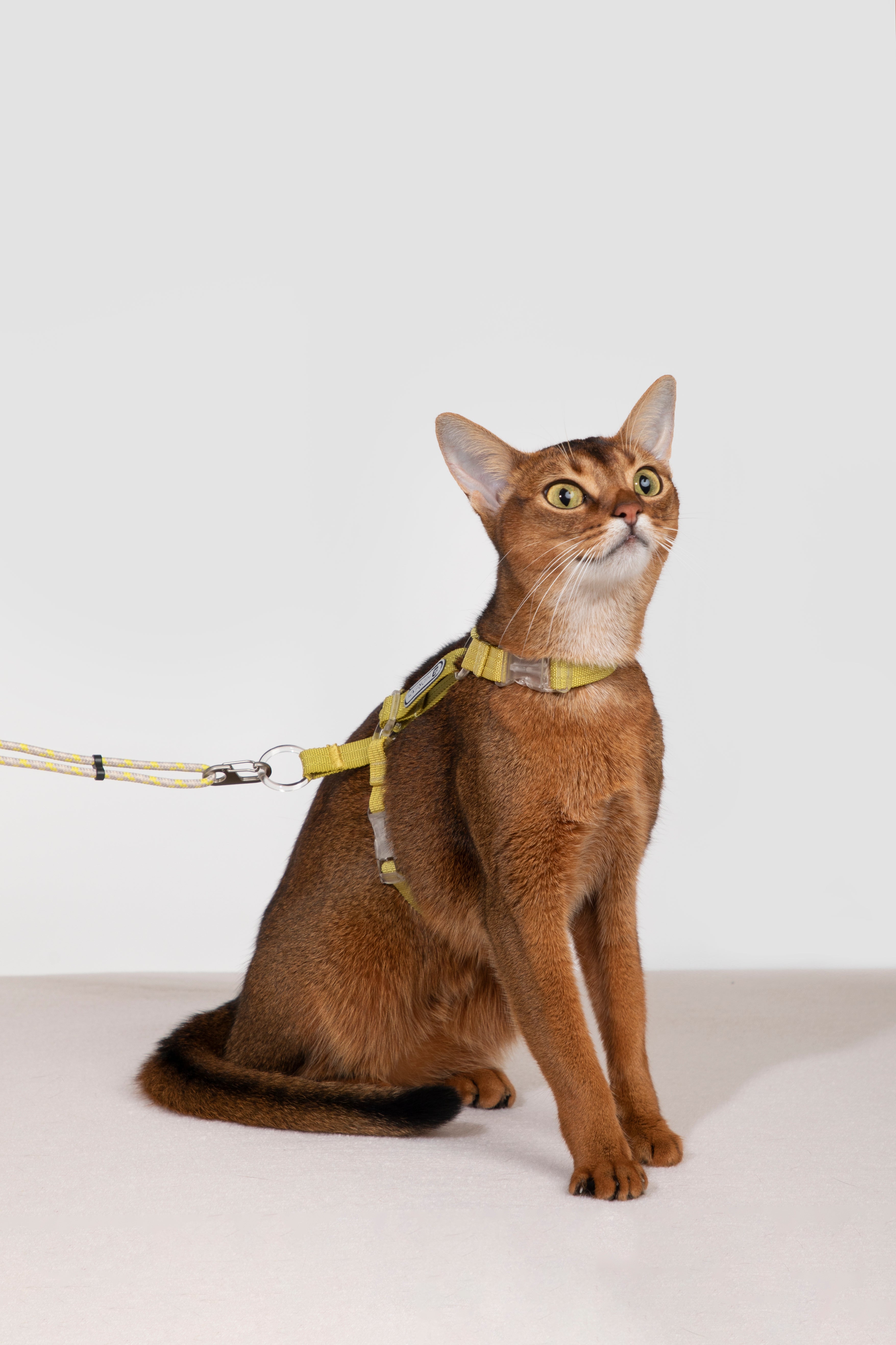 HiDream Nylon Cat Harness & Leash Set