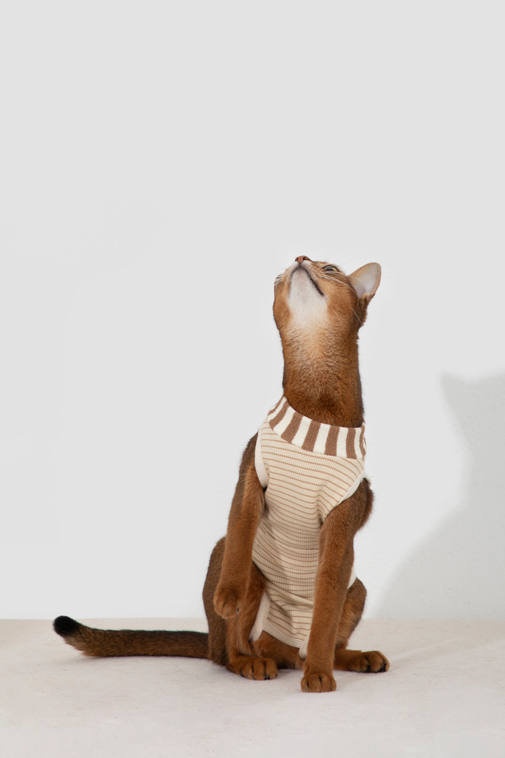 HiDream Cat Surgery Recovery Suit