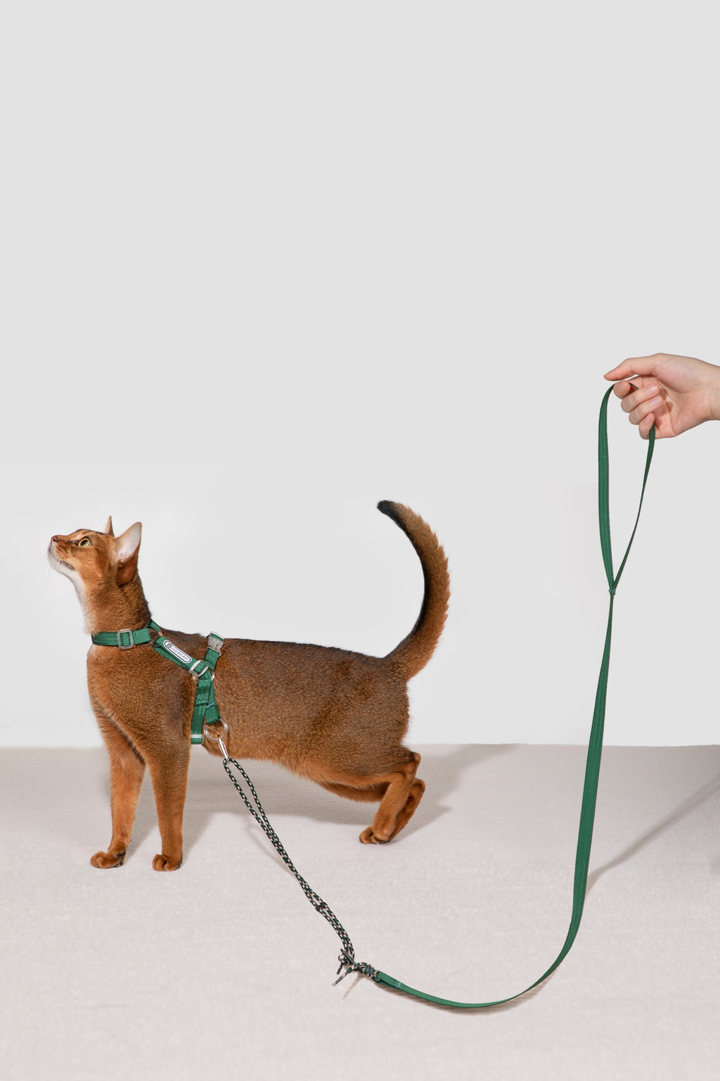 HiDream Nylon Cat Harness & Leash Set