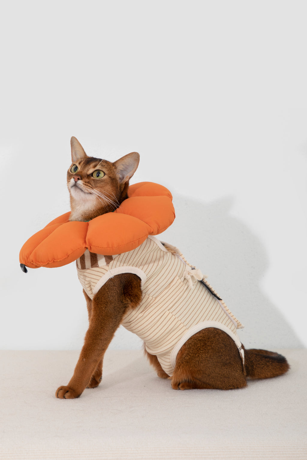 HiDream Cat Surgery Recovery Suit