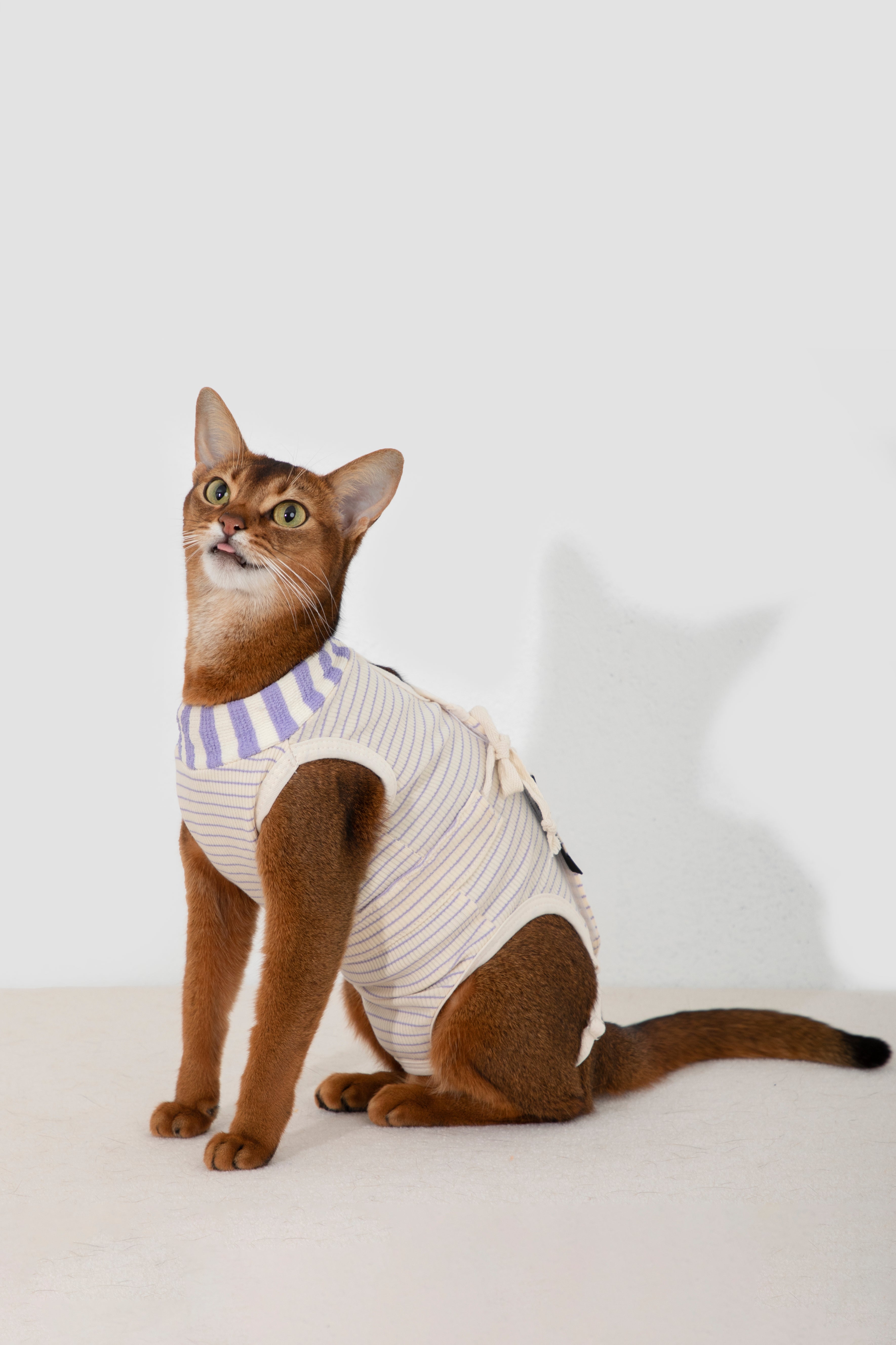 HiDream Cat Surgery Recovery Suit