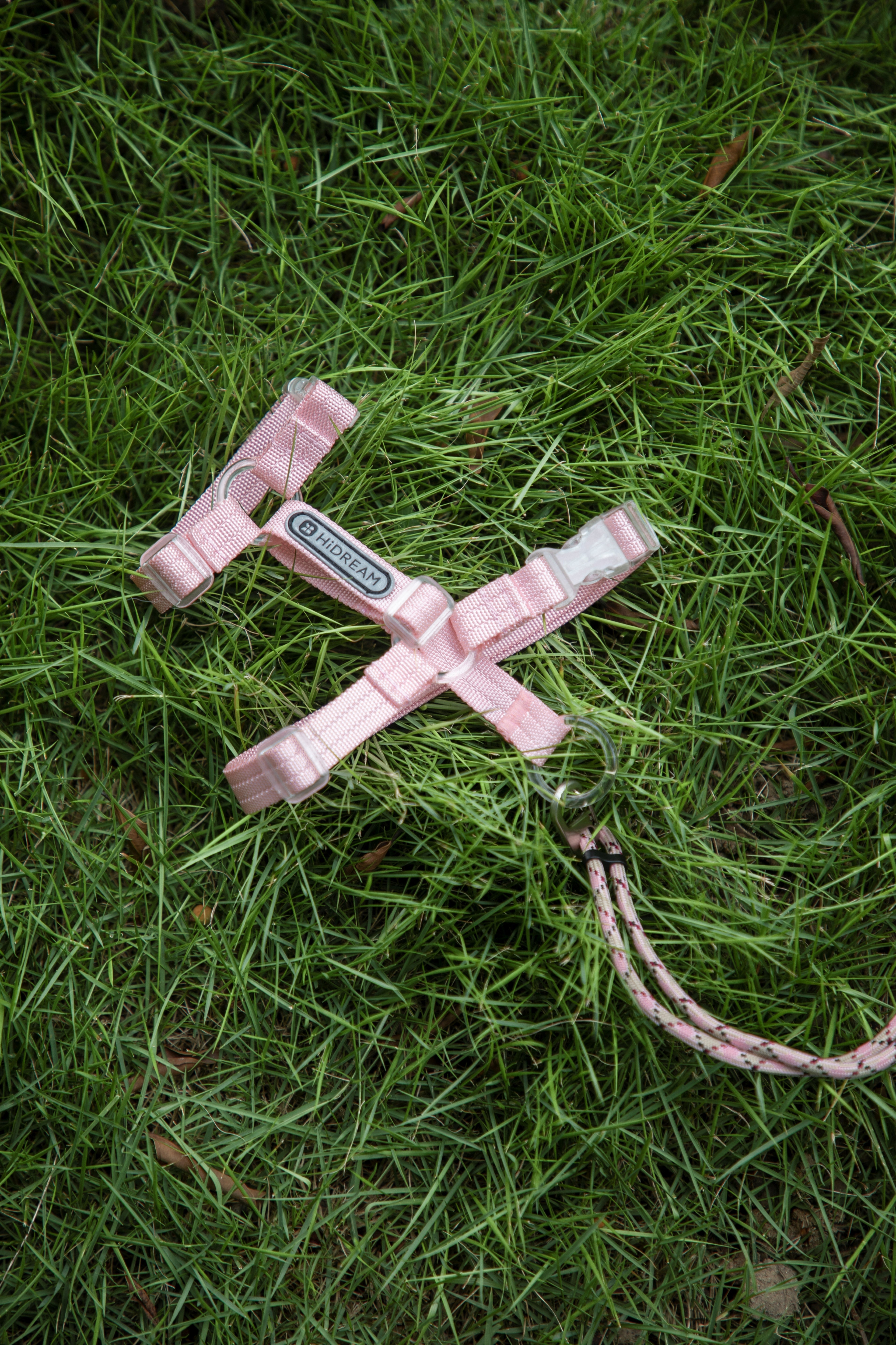 HiDream Nylon Cat Harness & Leash Set