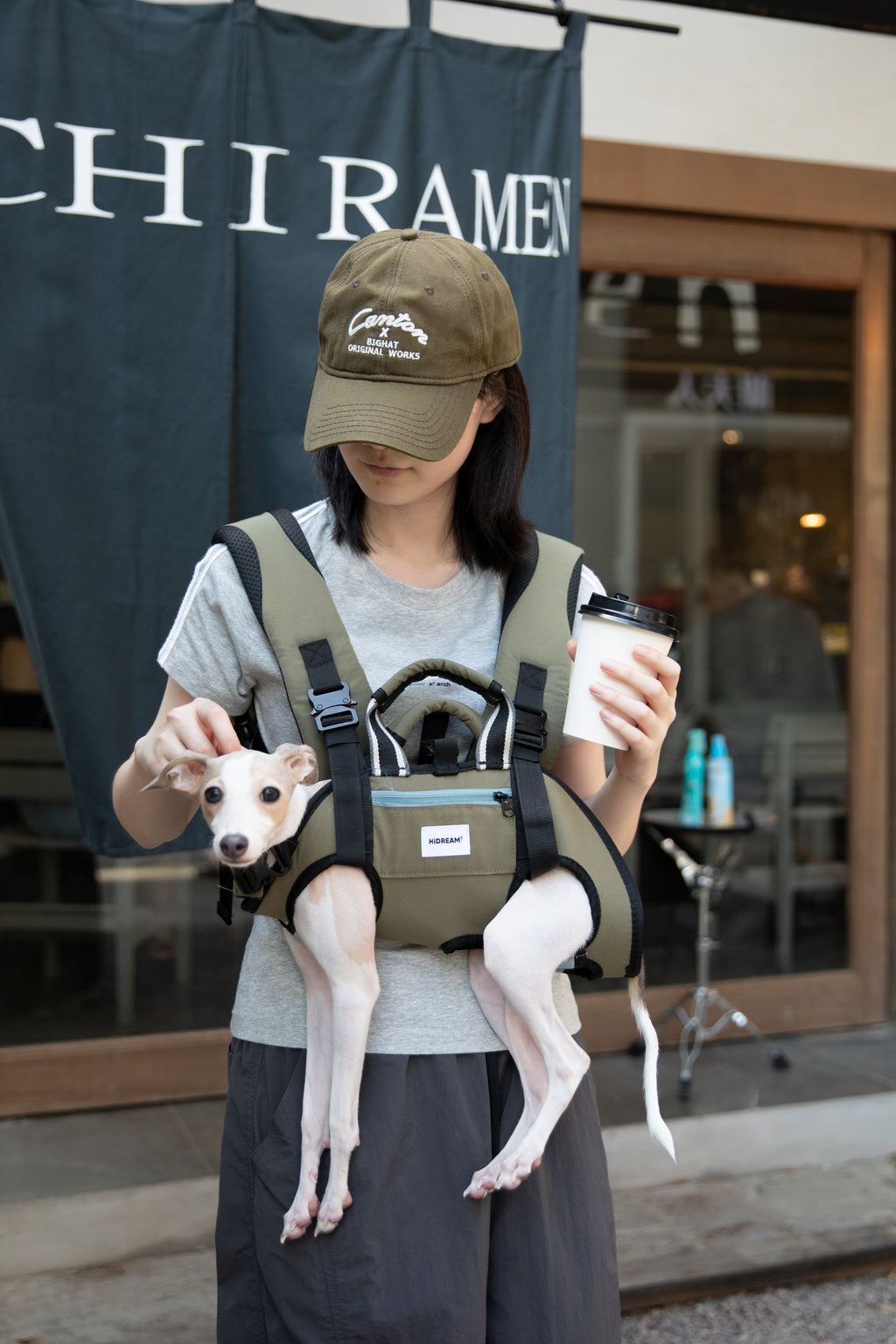 HiDream Ergonomic Horizontal Pet Carrier Backpack (Classic)