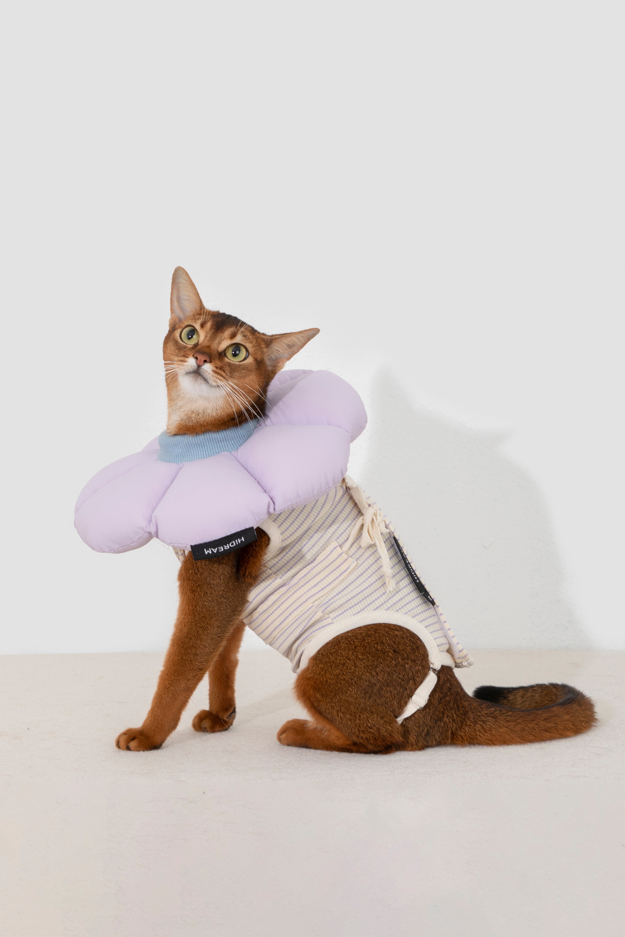 HiDream Cat Surgery Recovery Suit