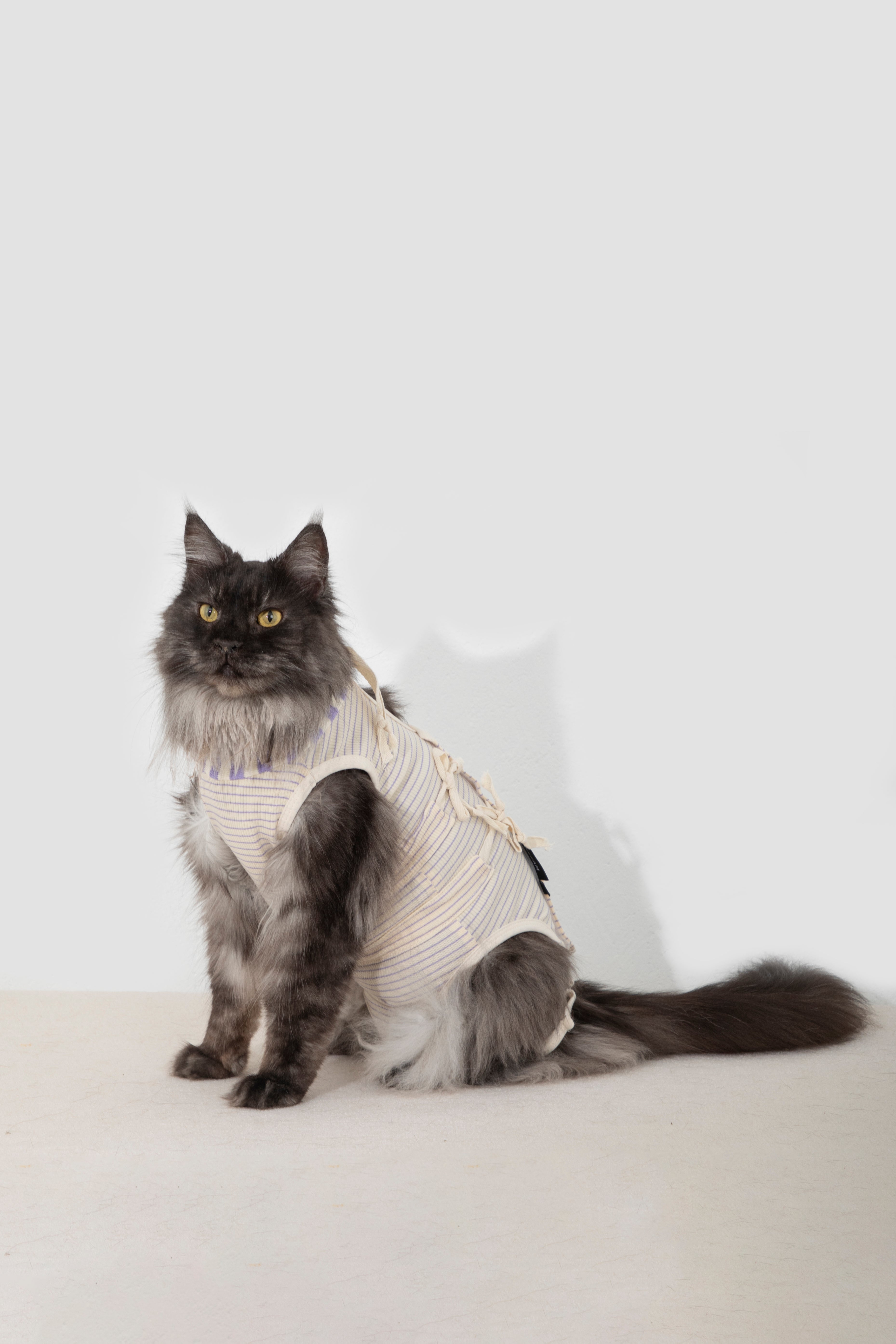 HiDream Cat Surgery Recovery Suit