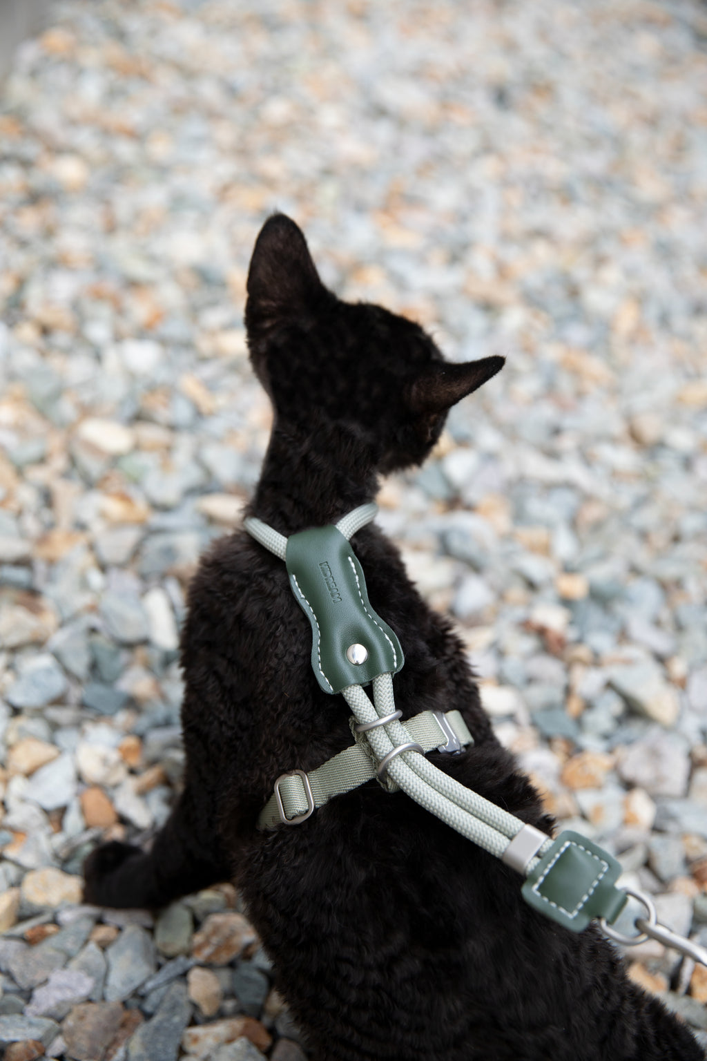 HiDream LuxCord Cats Harness & Leash Set