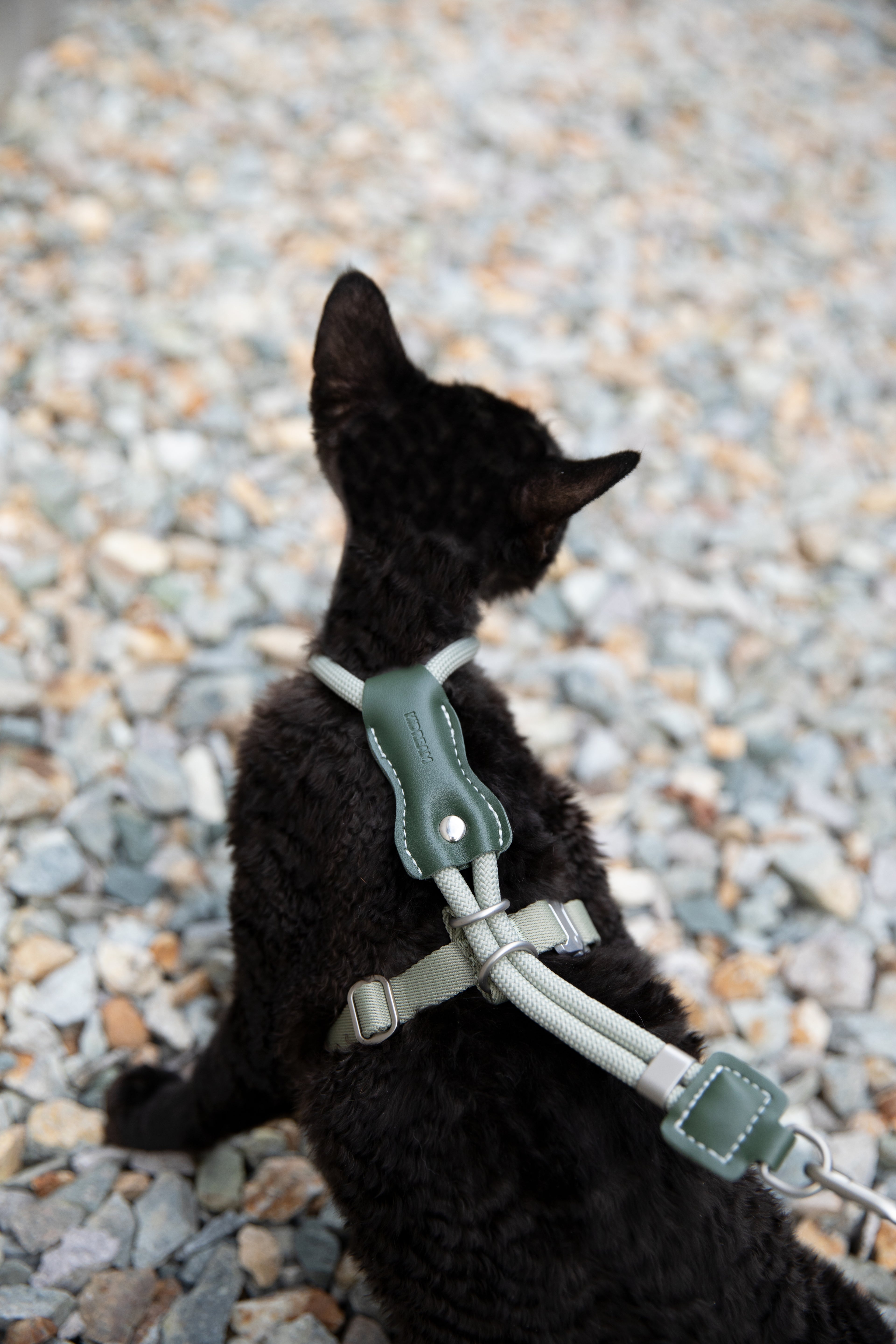 HiDream LuxCord Cats Harness & Leash Set