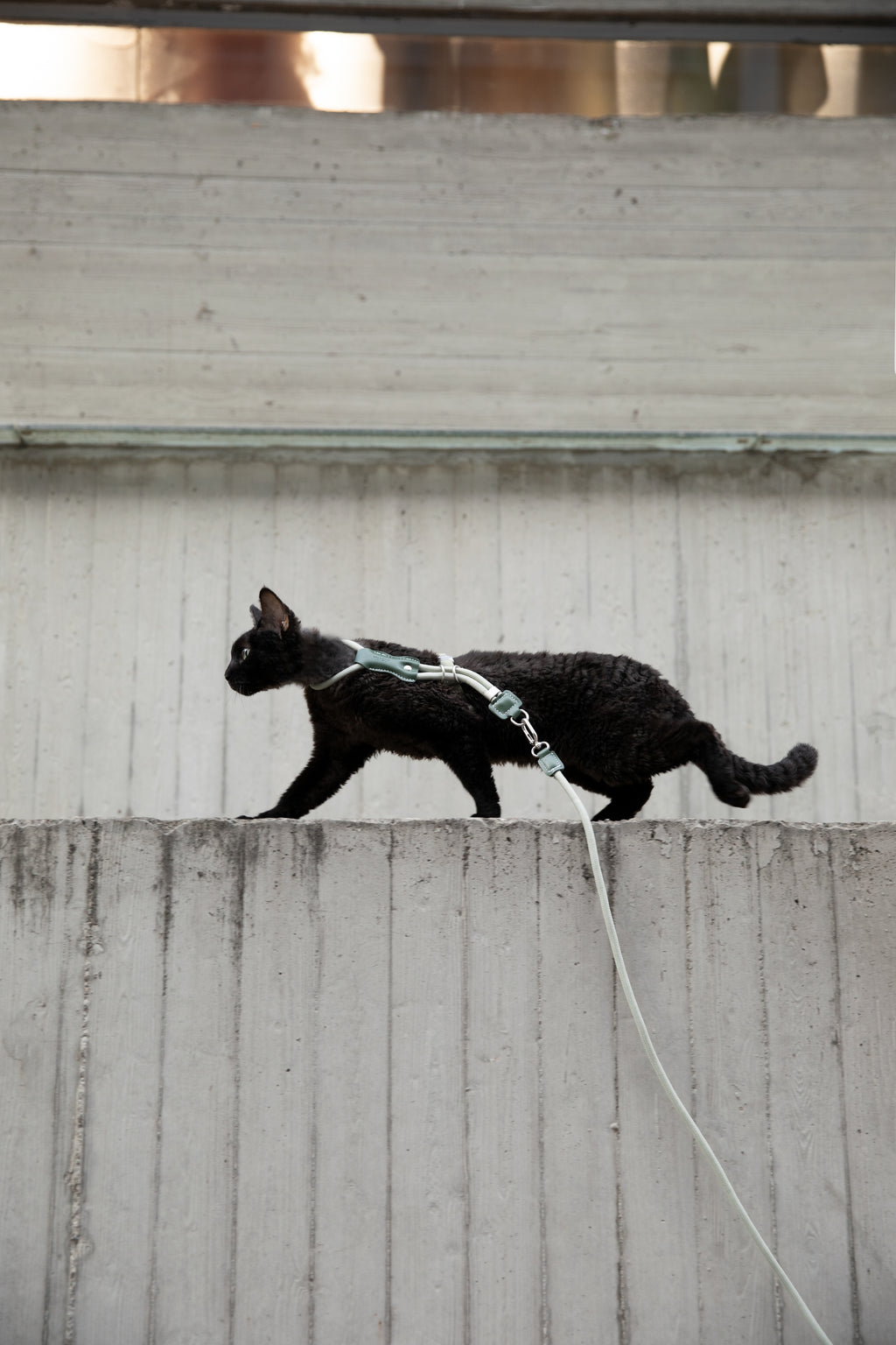 HiDream LuxCord Cats Harness & Leash Set