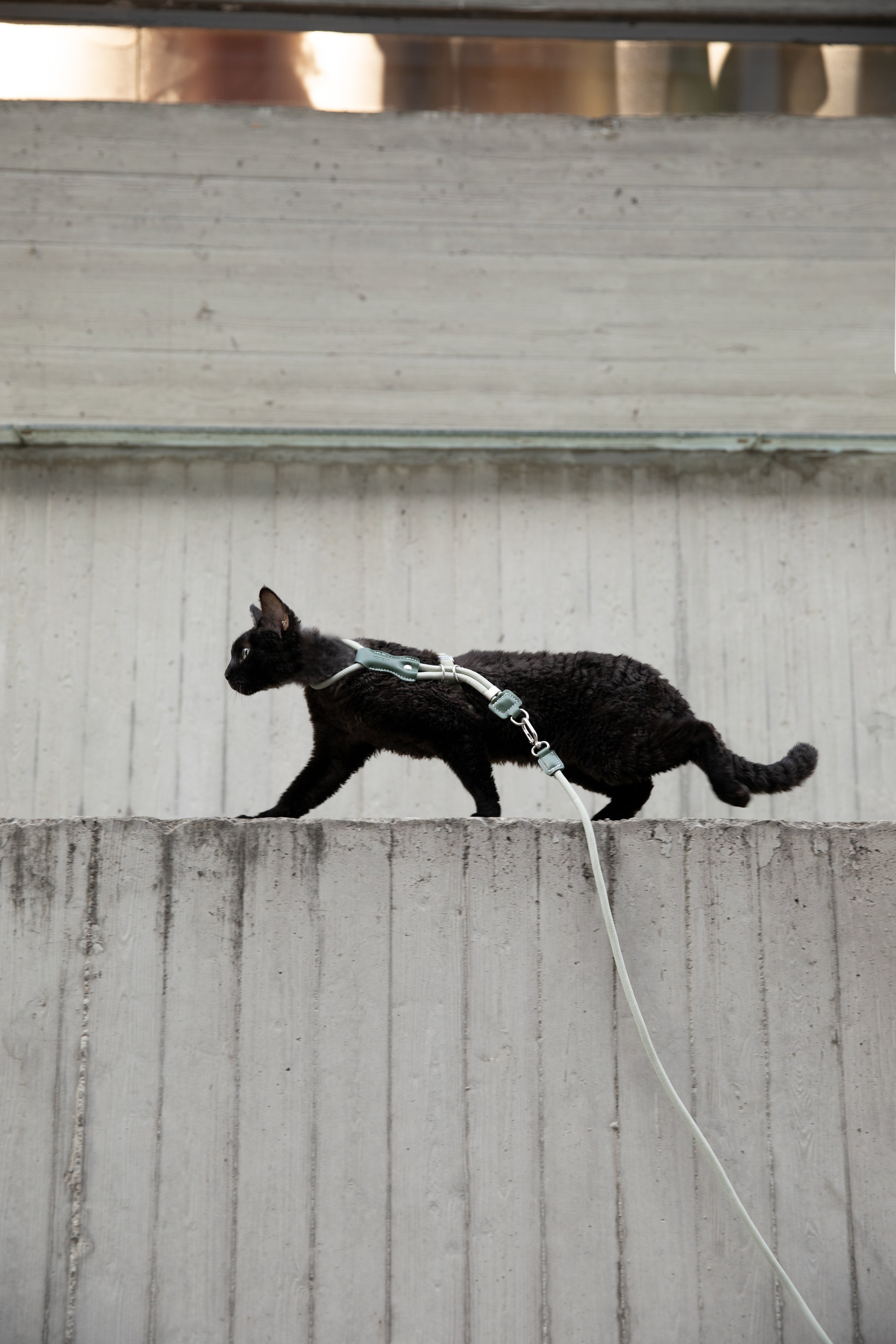 HiDream LuxCord Cats Harness & Leash Set
