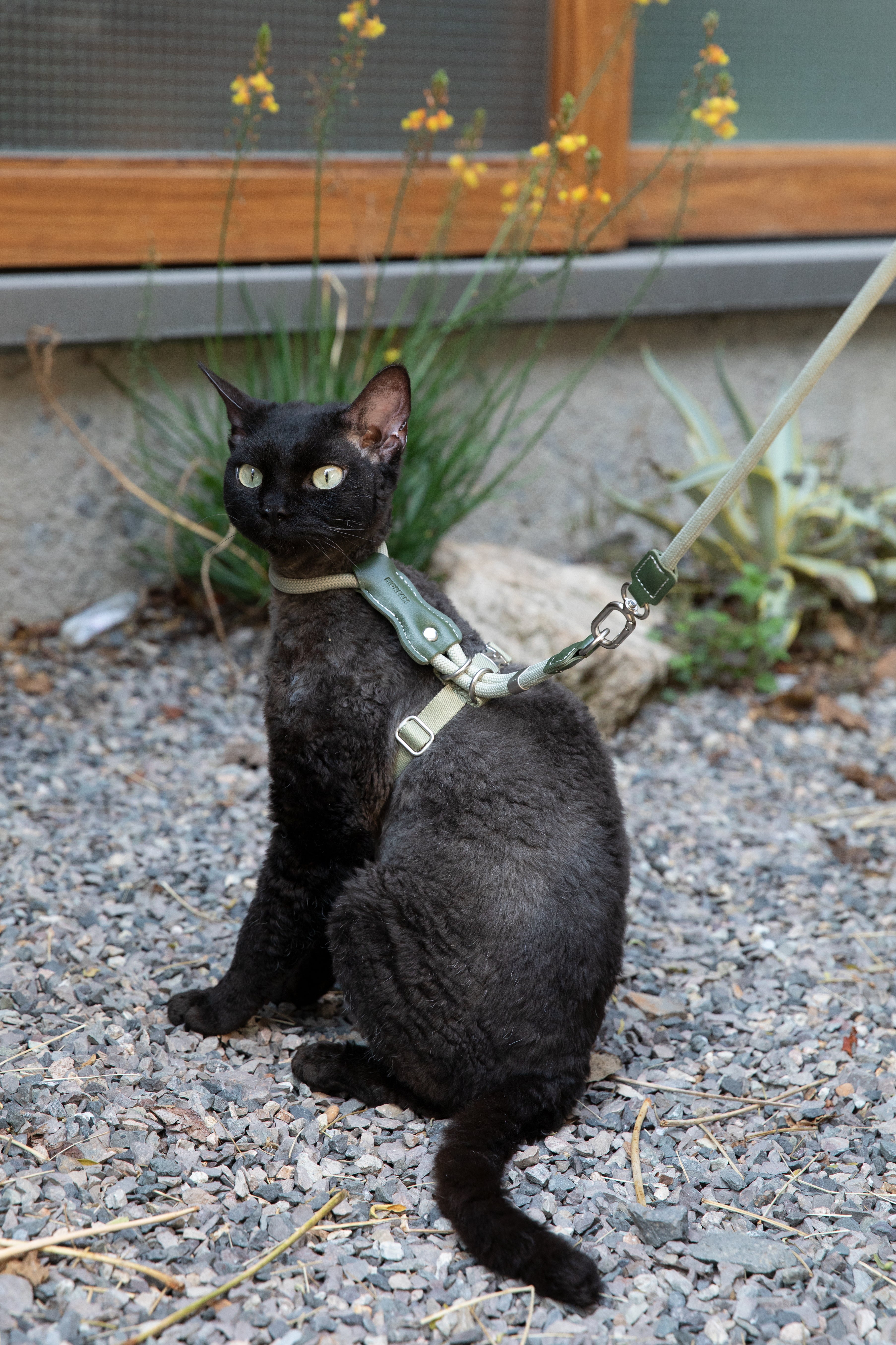 HiDream LuxCord Cats Harness & Leash Set