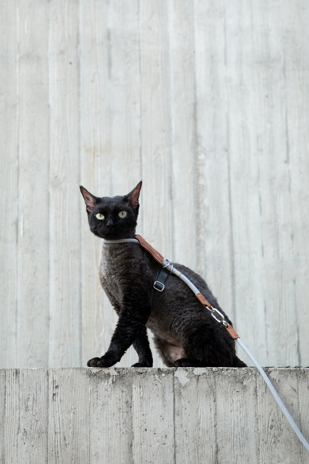 HiDream LuxCord Cats Harness & Leash Set
