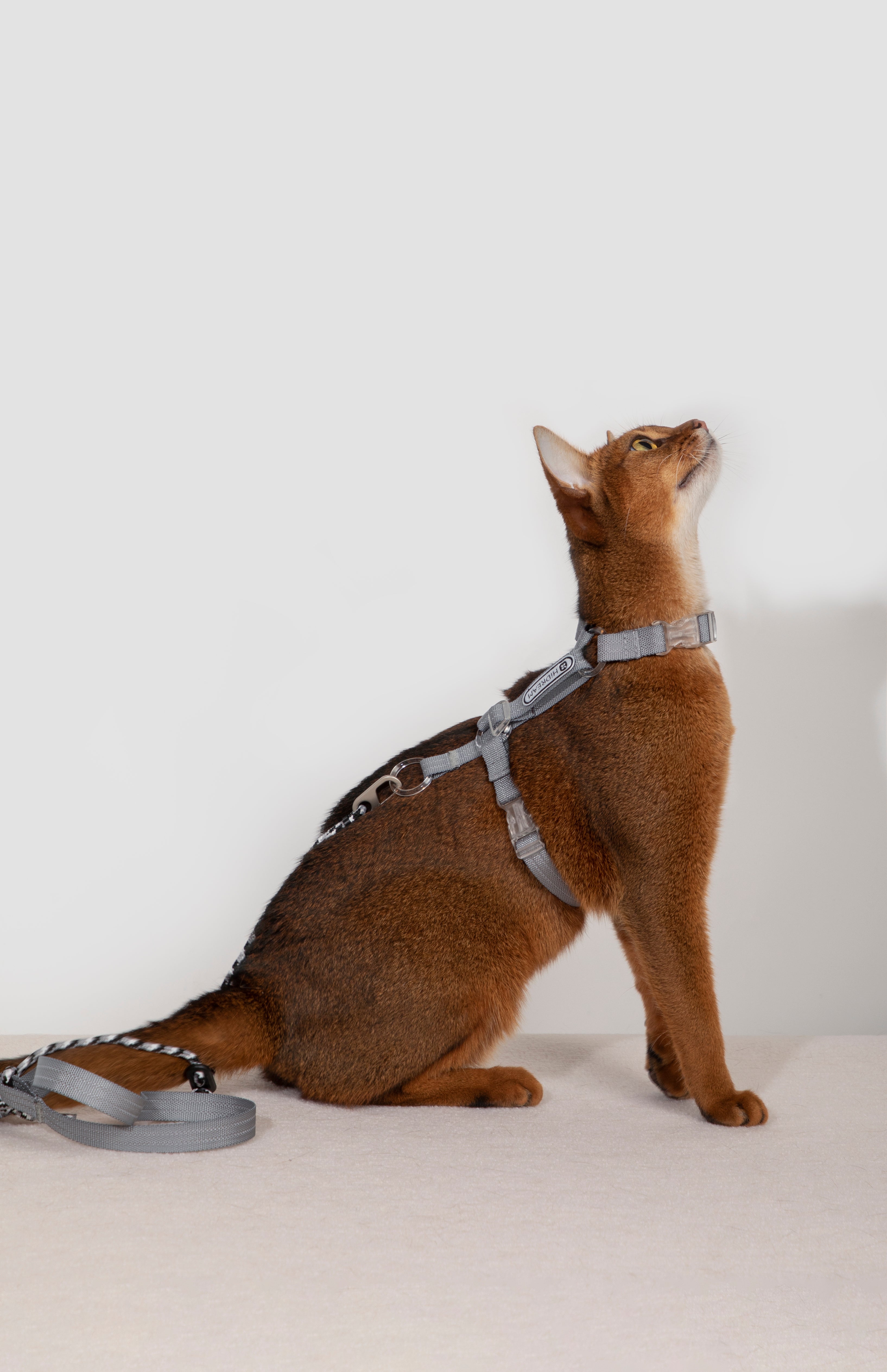 HiDream Nylon Cat Harness & Leash Set