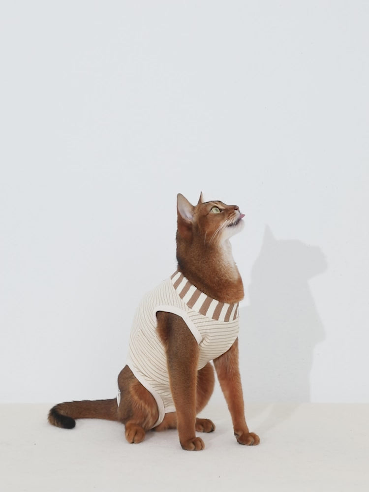 HiDream Cat Surgery Recovery Suit
